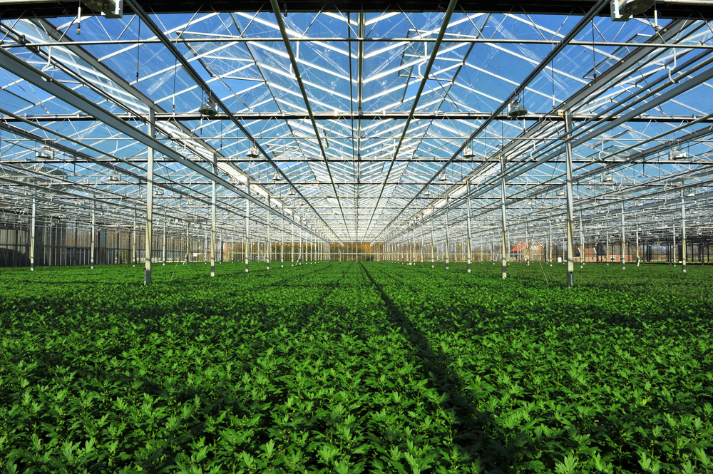 case studies botanical supplier adjacent solutions ap automation